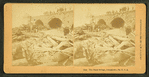 The fatal bridge, Johnstown, Pa., U.S.A.