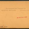 The iron works, Johnstown, Pa., U.S.A.