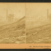 The iron works, Johnstown, Pa., U.S.A.