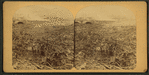 Horror of horrors! A view of the great Stone Bridge, where thousands of men, women and children were burned, together with horses, cows, railroad trains, houses, stables, and everything the flood could carry.