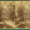 Basin, Lititz Springs.