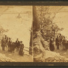 The rapids, Mauch Chunk.