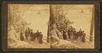 The rapids, Mauch Chunk.