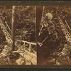 Rustic stairway, Glen Onoko.