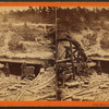 Coal mine opening.