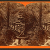 Rustic staircase, Glen Onoko.