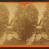 Switchback Railroad. The flats, looking [...]