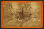 Two mile turn, Switchback Railroad.