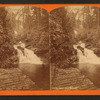 Dual Vista, Glen Onoko.