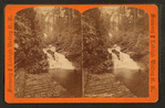 Dual Vista, Glen Onoko.