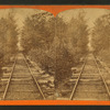 The home stretch, Switchback R.R.