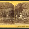 Mauch Chunk gardens.