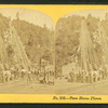 Penn Haven planes.