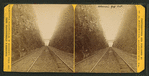 Lehigh and Susquehanna R.R. cut, Solomon's Gap.