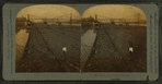 River coal trade, Pittsburg, Pa., U.S.A.