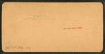 Lily pond, Schenley Park, Pittsburg, Pa., U.S.A. [Color view.]