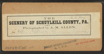 Pottsville Panoramic View No. 1.