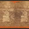 Woman with a book sitting on a low tree.
