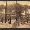 Mineral Springs.