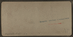 Conveyer line for carrying bird's-eye coal to bin, Scranton, Pa., U.S.A.