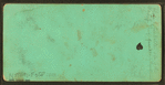 Horse by Sir Walter, a son of Schaeffer [...]