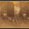 Switchback Railroad. View on Mauch Chunk Creek.