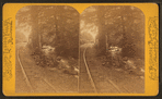 Switchback Railroad. View on Mauch Chunk Creek.