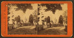 Maple Avenue, Laurel Hill cemetery, Philadelphia, Pa.