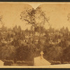 Laurel Hill cemetery.