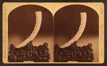 Carved elephant's tusk. Supported on ebony pedestal, eleborately carved in human figures, trees, etc. Modern Chinese. (Front and rear view.)