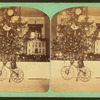H. Spear's tree, Dec. 25th, 1873.