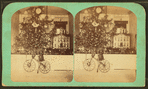 H. Spear's tree, Dec. 25th, 1873.