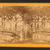 Sanitary Fair.