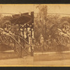 Horticultural department.