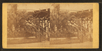 Horticultural department.
