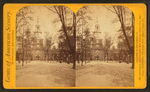 Independence Hall, rear view.