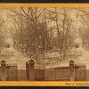 Rear of Independence Hall.