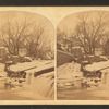A mill-dam, Frankford Creek, [Pa.] Scornful of a check, it leaps the mill-dam and wantons in the pelby gulf below.