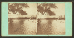 Smith's Island.