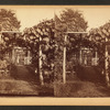 Grape arbor at Germantown.