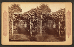 Grape arbor at Germantown.