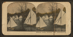 Miniature yachts, Fairmount Park, Philadelphia.