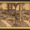 Belmont Dell, Fairmount Park.