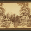 Statue of Wolves, near Memorial Hall.