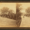 View in West Park.