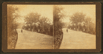 View in West Park.