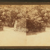 N. W. entrance.
