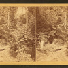 Landsdown rustic bridge.