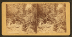 Landsdown rustic bridge.
