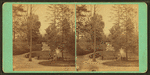 View with a fountain, Fairmount Park, Philadelphia.
